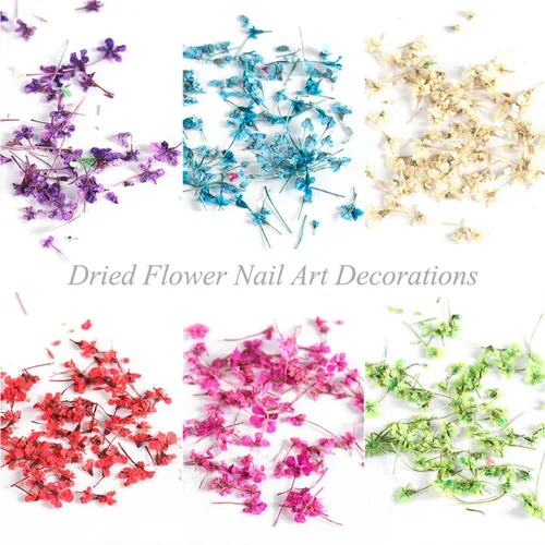 Miniatura 2 de 8 cajas de flores secas para uñas, mini flores de uñas reales 3D, flores secas, calcomanías de uñas, decoración de uñas, decoración de uñas, Flores
