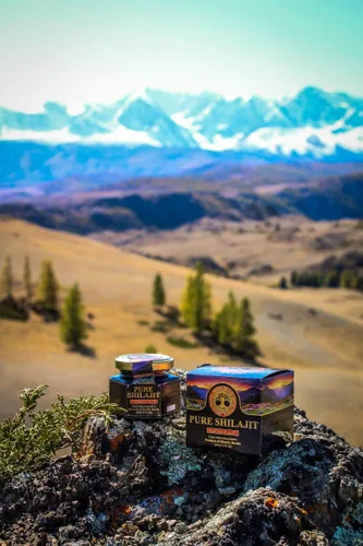Miniatura 2 de Mumijo Siberiano auténtico y puro de Shilajit, de 3.5 onzas
