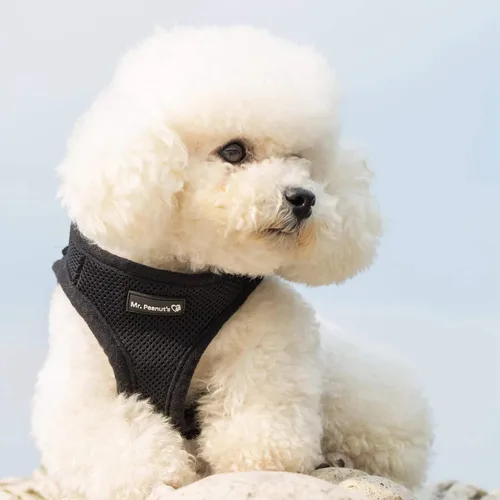 Miniatura 4 de Mr. Peanut's PupTrek - Arnés de malla suave para perros y gatos pequeños (talla XS, negro)