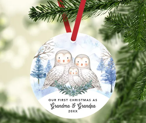 Miniatura 2 de Andaz Press Adorno redondo de recuerdo de Navidad, nuestro 10 aniversario 2025, búhos de nieve de invierno en acuarela, 1 paquete, incluye cinta