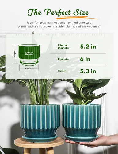 Miniatura 2 de AISBUGUR Macetas de cerámica de 6 pulgadas para plantas de interior, juego de 2 macetas de diseño único de esmalte agrietado con orificio de drenaje