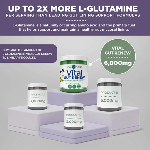 Miniatura 5 de Vital Planet - Suplemento en Polvo Vital Gut Renew para Reparación de Intestino Permeable con L-Glutamina, Malvavisco y Raíz de Jengibre, Raíz