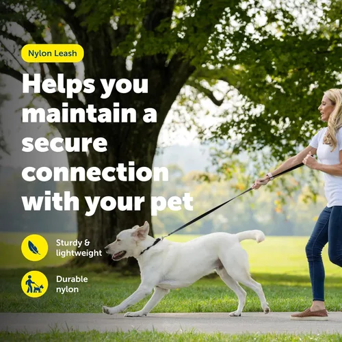 Miniatura 2 de PetSafe Correa de nailon para perro fuerte, duradera, estilo tradicional con broche de perno fácil de usar para perros pequeños, medianos y grandes