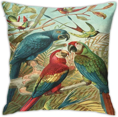 VARUN Fundas de almohada coloridas con diseño de loros con pájaros, funda de almohada cuadrada para decoración del hogar, sofá, automóvil,