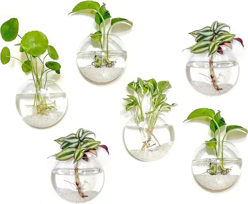 Miniatura 11 de Kingbuy Estación de Propagación de Plantas Colgante de Vidrio para Pared - Paquete de 2 Jarrones de Globo Oblato Montados en la Pared para Plantas