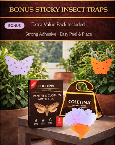 Miniatura 9 de COLETINA - Trampas para polillas para casa, despensa interior, ropa con feromonas, paquete de 8 para armario, cocina, almacenamiento de alimentos