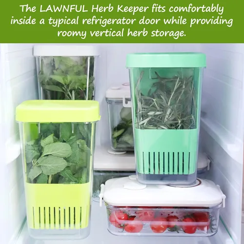 Miniatura 7 de Paquete de 2 conservadores de hierbas frescas para refrigerador, protector de hierbas transparente sin BPA, contenedor de almacenamiento