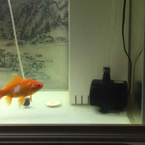 Miniatura 4 de Bomba de agua sumergible, USB 5V 1.6 ft 150 L, H Bomba de agua sin escobillas sin escobillas Dc sin escobillas para fuente de mascotas acuario