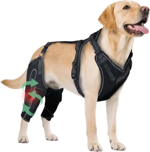 Rodillera para perro para pierna trasera desgarrada del ACL, soporte para piernas traseras de perros, articulaciones cálidas y alivia el dolor en