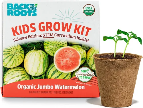 Miniatura 9 de Back to the Roots Kit de cultivo de terrario - Juego de bricolaje fácil de usar para todas las edades pequeño