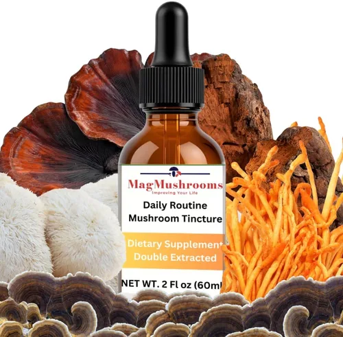 Miniatura 8 de Tintura de hongos de rutina matutina, alta potencia, doble extracción, 60 dosis diarias, melena de león y cordyceps