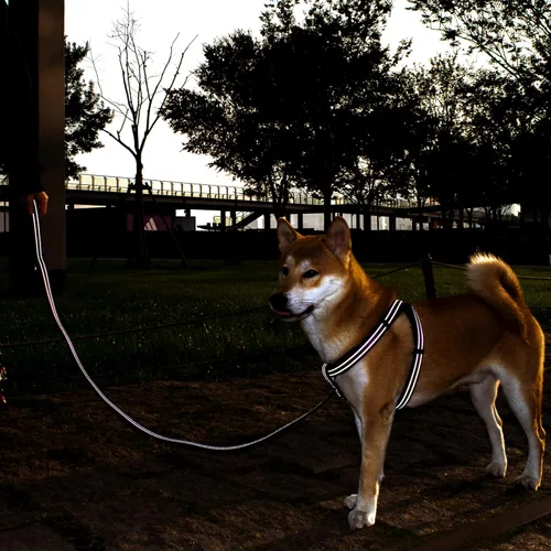 Miniatura 7 de Arnés reflectante para perro, arnés sin tirones para perros de tamaño grande, arnés con hebilla de liberación rápida para caminar, correr, entrenar