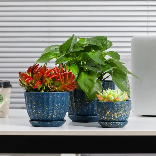 Miniatura 7 de STHIE - Macetas de cerámica con orificios de drenaje y platillos, macetas redondas azules para plantas de interior, diámetro 3.3/4.3/5.5 pulgadas, 1