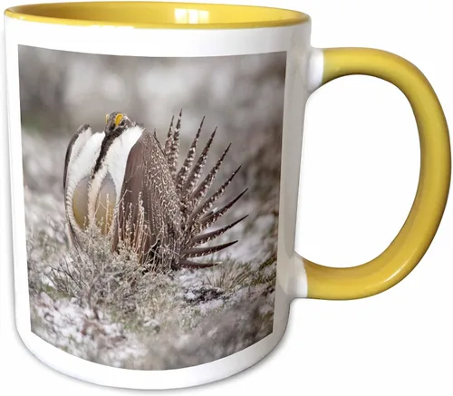Miniatura 16 de 3dRose Taza de café, tamaño – 11oz – Faro de Cabo Blanco SP, Port Orford Oregon – US38 MGI0164 – Mark Gibson Lighthouses – divertido regalo de taza
