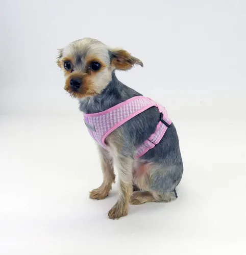 Miniatura 2 de Arnés de nailon ajustable de precisión para perro en taza de té, chaleco de hasta 40 libras, fácil de poner, ajustable, XXX, chaleco grande y suave