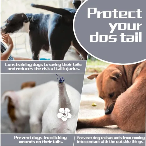 Miniatura 5 de 2 fundas protectoras de cola de perro para heridas, colas de perros curan manga, cuidado de heridas de perro para perros medianos y grandes