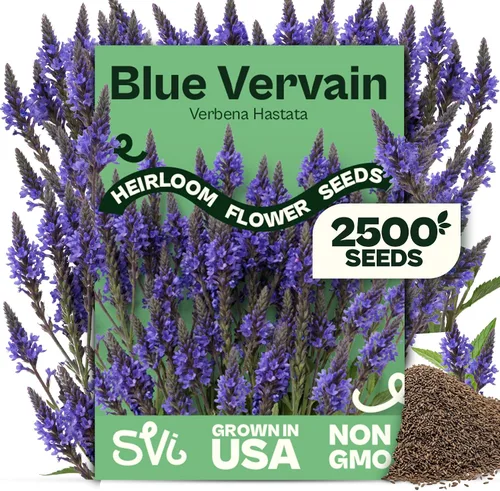 Miniatura 17 de Queen Anne 's Lace- 200 semillas – 50% de descuento venta