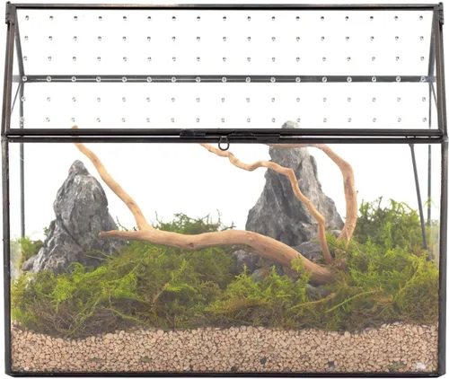 NCYP Terrario de cristal con forma de casa con tapa acrílica, 10.2 x 5.9 x 8.2 pulgadas, caja de terrario geométrica grande de mesa para caracoles,