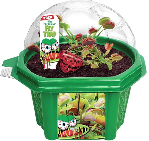 Toys By Nature Venus - Juego de terrario para niños, divertido y fácil de cultivar, plantas alimentarias de insectos, kit completo de plantas
