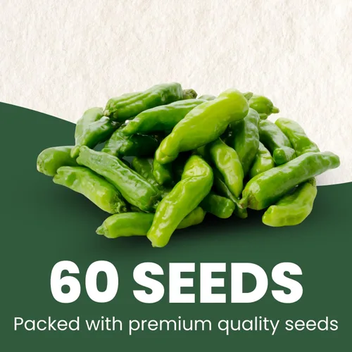 Miniatura 2 de Shishito Pepper – 60 semillas premium para plantar – Pimienta especial dulce, salada y de alto rendimiento para la temporada 2026 – Bolsa de 500