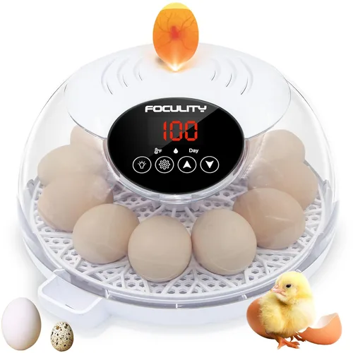 Incubadora de huevos para incubar pollos, capacidad para 12 huevos, girador automático de huevos con temperatura, pantalla de humedad, vela de