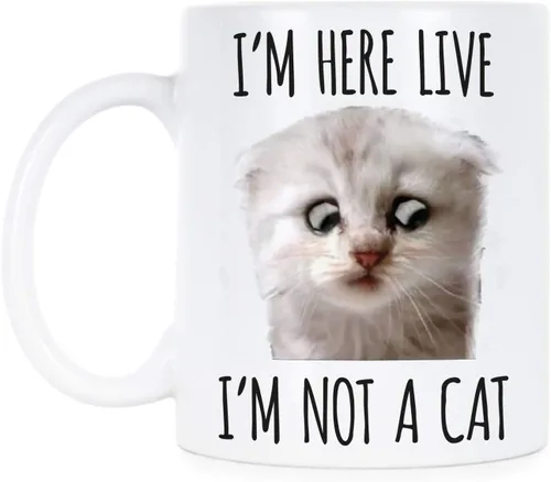 We Got Good Taza de café I'm Here Live I'm Not A Cat Zoom Lawyer Im Here Live Im Not A Cat