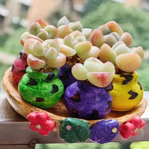 Miniatura 8 de Mini macetas de terracota – Macetas pequeñas de arcilla para suculentas, cactus, manualidades de bricolaje, jardín de hadas, proyectos escolares