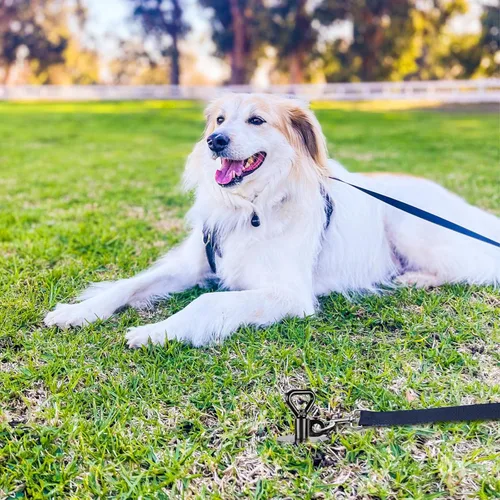 Miniatura 9 de SELEWARE Estaca de amarre para perro al aire libre, anclaje antióxido para perros grandes de hasta 220 libras, estaca giratoria gratuita para Negro C