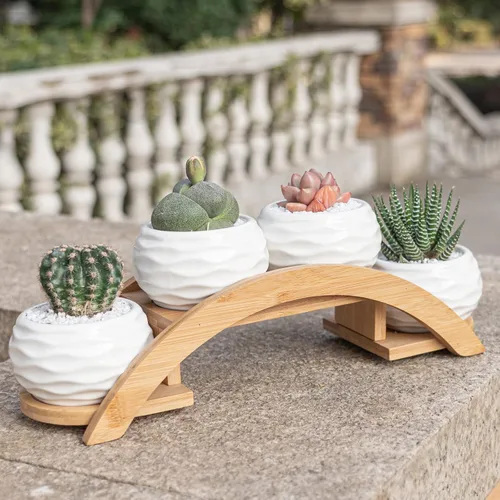 Miniatura 5 de E-liu Juego de macetas y soporte para suculentas, maceta de cerámica blanca con drenaje, paquete de 4, bonita decoración de interiores de oficina