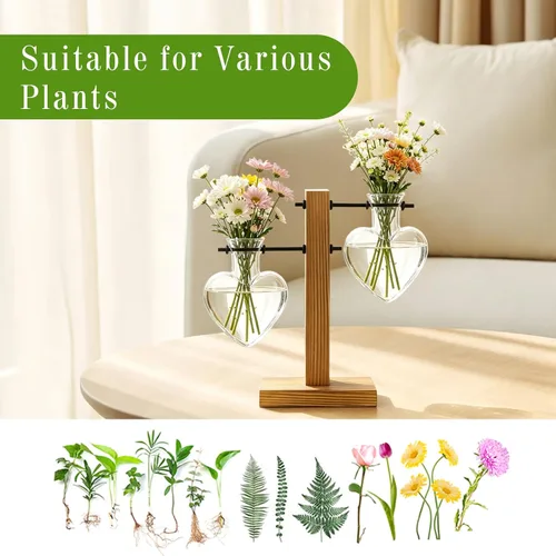 Miniatura 3 de HUABEI - Terrario con soporte de madera para plantas, globo de cristal para maceta, jarrón giratorio de metal, soporte de mesa retro