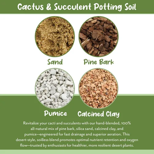 Miniatura 5 de Suelo Sunrise para Cactus y Suculentas para Macetas Mezcla Especial - Drenaje Rápido y Arenoso al Estilo del Desierto (7,57 litros)