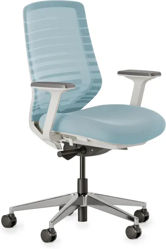 Miniatura 13 de Silla ergonómica Branch - Una silla de escritorio versátil con soporte lumbar ajustable, respaldo de malla transpirable y ruedas suaves - Grafito