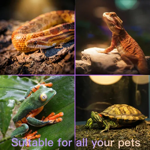 Miniatura 9 de Paquete de lámpara de calor para reptiles todo en uno, lámpara UVB&UVA de doble cabezal con temporizador e higrotermógrafo, iluminación UVA alta