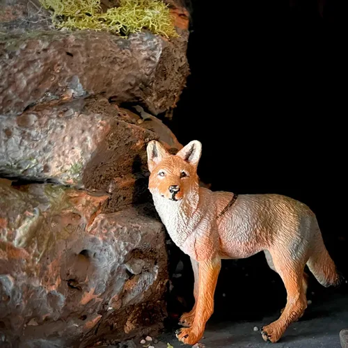Miniatura 5 de Safari Ltd. Figura de Coyote – Figura de modelo realista de 3.75 pulgadas – Juguete educativo para niños, niñas y niños a partir de 1 año
