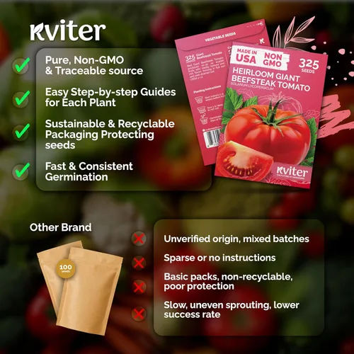 Miniatura 5 de KVITER 325 semillas de tomates gigantes (Solanum lycopersicum) – Filete de ternera paquetes de semillas de tomate – Tomates tradicionales – Semillas