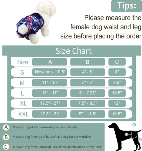 Miniatura 51 de Pañales lavables para perros, para hembras caninas, reutilizables, para periodo de celo, altamente absorbentes, para incontinencia, con broches