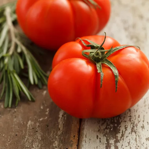 Miniatura 2 de Eden Brothers Semillas de tomate – Semillas de carne sin OMG para plantar, paquete Semillas de vegetales de bajo mantenimiento, plantas durante