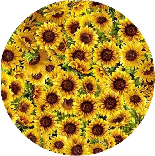 Miniatura 3 de Andreas Jo-86 - Abrelatas de silicona, girasol – Agarre de tapa antideslizante de 6.25 pulgadas y pelador de ajos, apto para alimentos