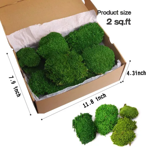 Miniatura 2 de Musgo preservado de 2 pies cuadrados para decoración de pared, decoración de mesa para bricolaje, cuenco de musgo, almohada de musgo, verde natural