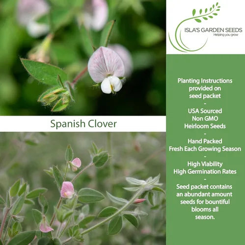 Miniatura 2 de Semillas de flores de pie de pájaro americano "Spanish Clover" para plantar, más de 1000 semillas por paquete, semillas de jardín de Isla
