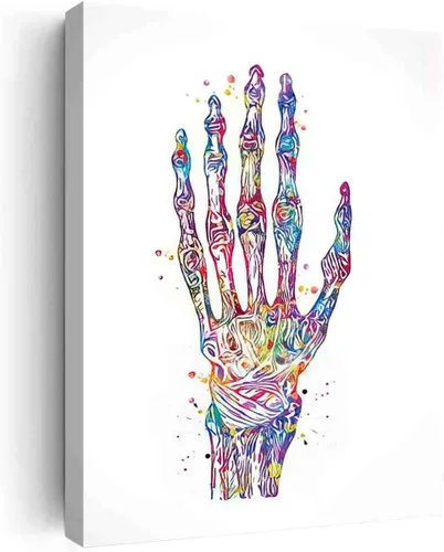 Póster de pared enmarcado, huesos de mano, acuarela, huesos de mano, huesos de mano, arte médico, ciencia, arte ortopédico, enfermera, medicina,