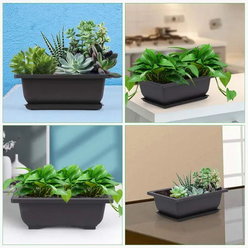 Miniatura 6 de GROWNEER 3 Macetas para Bonsái de 6.5 Pulgadas con Bandejas de Drenaje y Humedad y 1 Alfombrilla de Trasplante, Maceta de Entrenamiento para Árbol