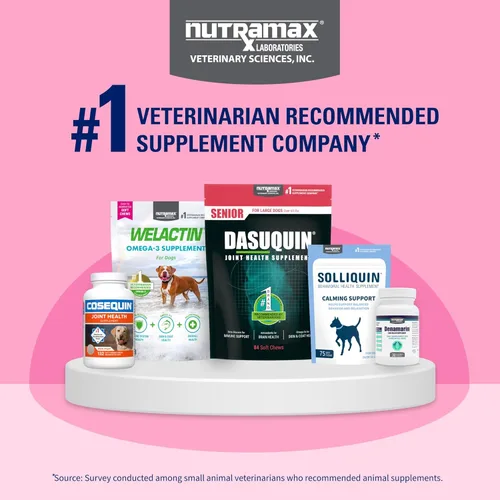 Miniatura 12 de Nutramax Proviable Probióticos para Perros y Gatos, Suplemento Diario para la Salud Digestiva con Múltiples Cepas de Bacterias, Probióticos