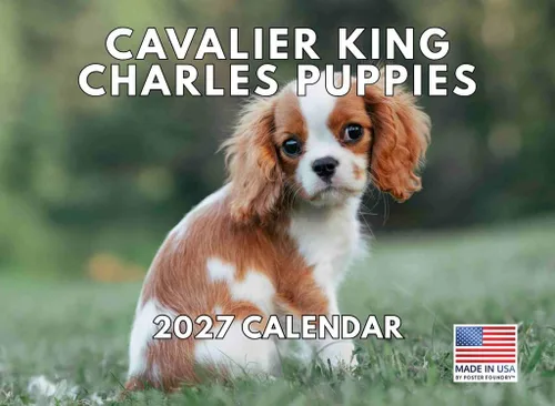 Miniatura 191 de Calendario de pared mensual 2025 Great Dane de 12 meses, fabricado en Estados Unidos