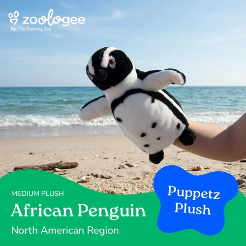 Miniatura 2 de The Petting Zoo Marioneta de peluche africana de pingüino de patas negras, regalos para niños, animales títeres, marionetas interactivas