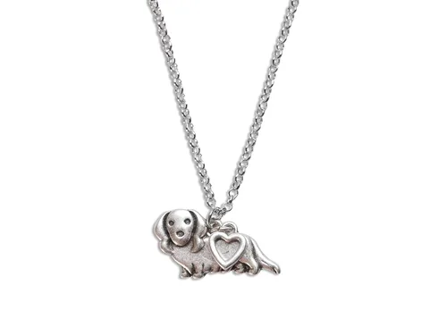 Miniatura 6 de Collar para perros Grupo B, Metal, No es una piedra preciosa