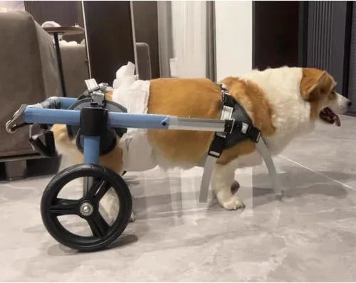 Miniatura 8 de Adjustable Dog Wheelchair for Back Legs, Lightweight Aluminum 2 Wheel Pet Cart, Dog Mobility Aid for Paralyzed, Disabled, Elderly Dogs, Hind Leg