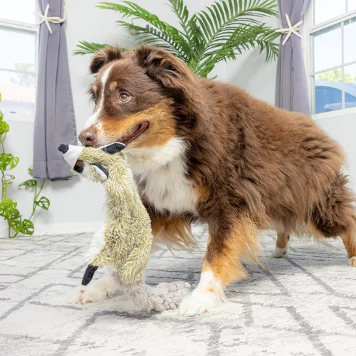 Miniatura 17 de SPOT Skinneeez - Juguete para perros sin relleno con chirriador para todos los perros. Juguete de tira y afloja para razas pequeñas y grandes. 23