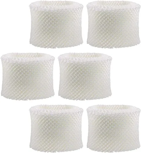 Nispira Paquete de 6 filtros de mecha de repuesto compatibles con Holmes HWF75 HWF75CS HWF75PDQ-U filtro D para White Westinghouse, Sunbeam