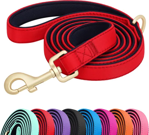 Miniatura 13 de Didog Correa para perro de nailon colorido de 5 pies con acolchado suave de longitud completa, ligera y duradera para perros pequeños, negro, S